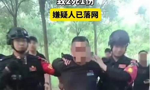 枪击案件嫌疑人落网 美企高管案件详细调查(美国枪击案死人)