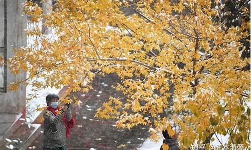 全国多地大雪纷飞 下雪群聊火爆开启(全国都在下雪)