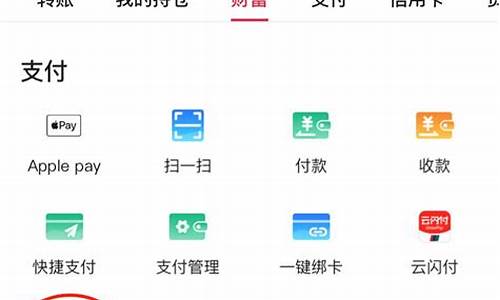 中国银行app数字钱包密码更改在哪里(中国银行数字钱包密码忘了)